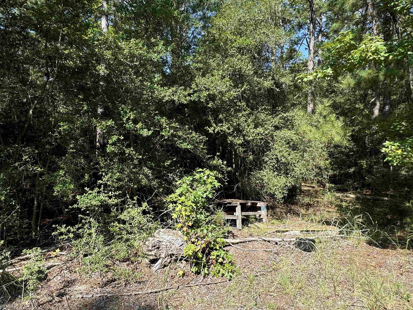 0.25 Acres of Residential Land for Sale in Brookeland, Texas