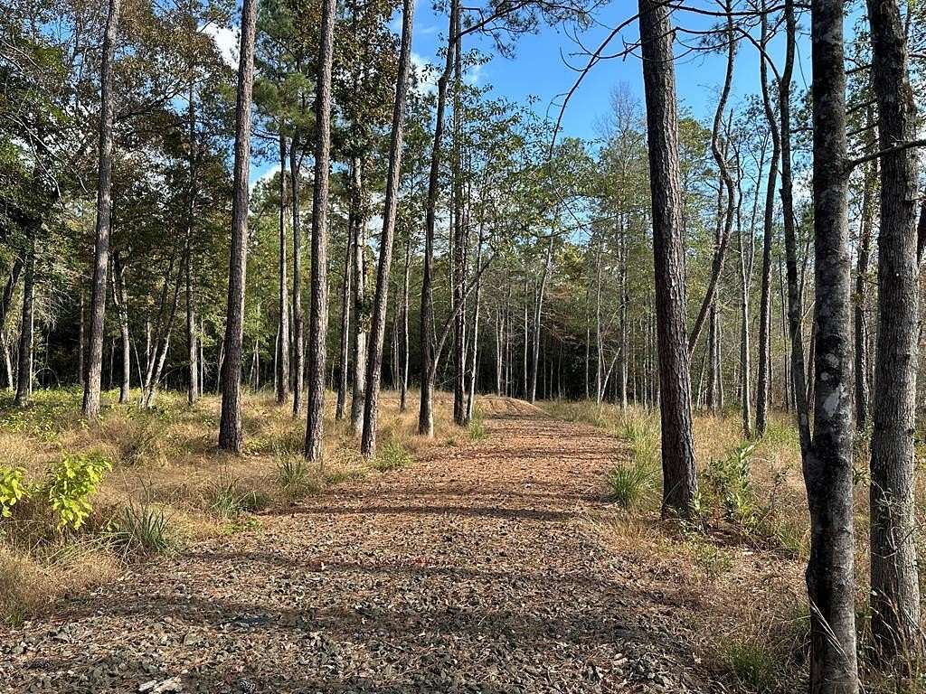 1 Acre of Residential Land for Sale in Jasper, Texas