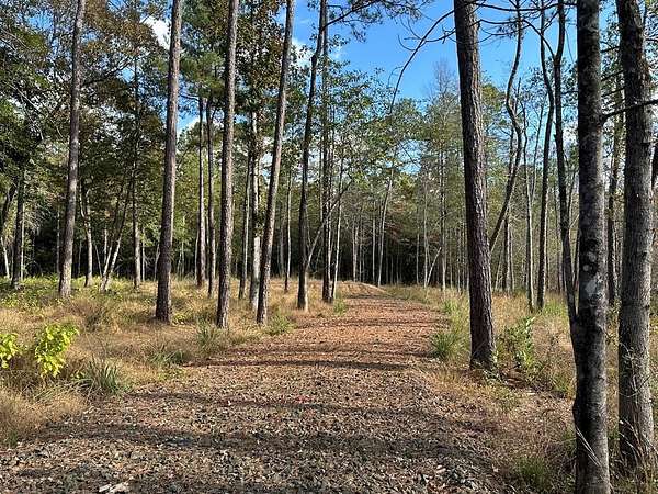 1 Acre of Residential Land for Sale in Jasper, Texas
