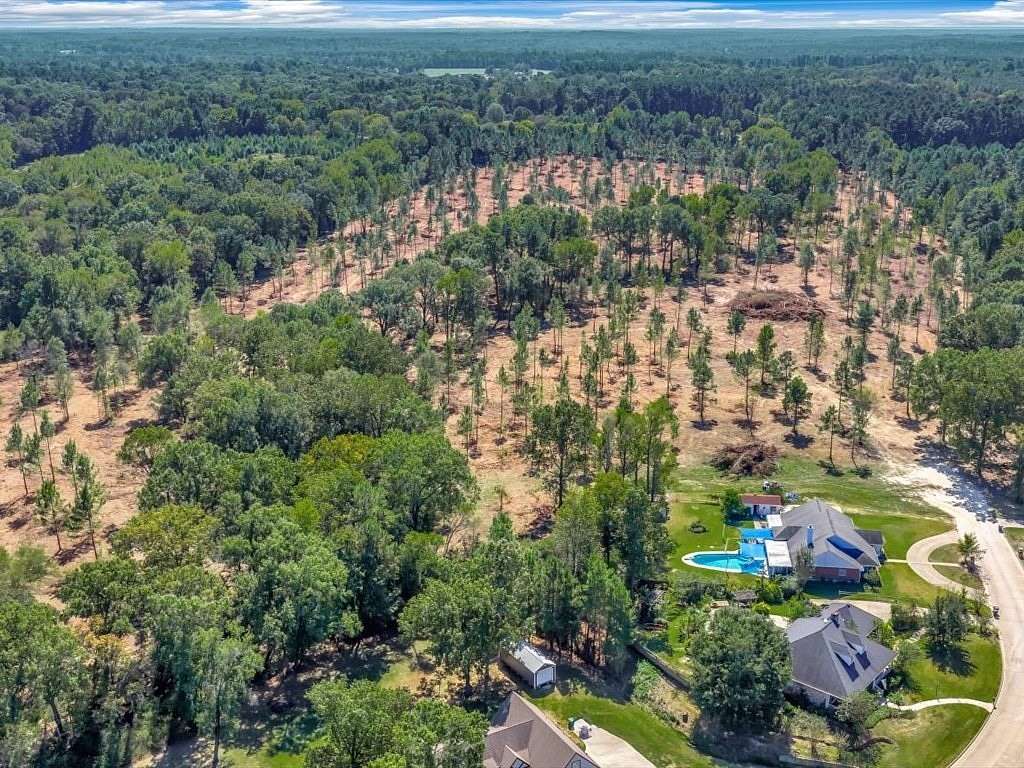 10 Acres of Residential Land for Sale in Pollok, Texas