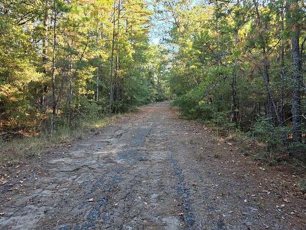 0.2 Acres of Land for Sale in Brookeland, Texas