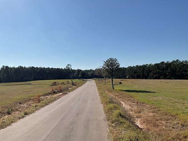 4.64 Acres of Residential Land for Sale in Hillister, Texas