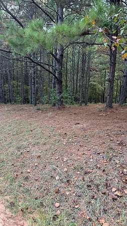 0.25 Acres of Residential Land for Sale in Hemphill, Texas