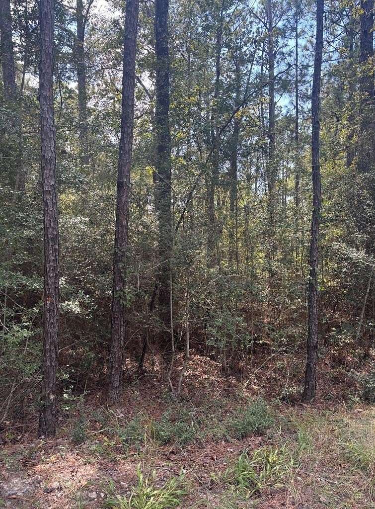 0.26 Acres of Residential Land for Sale in Brookeland, Texas
