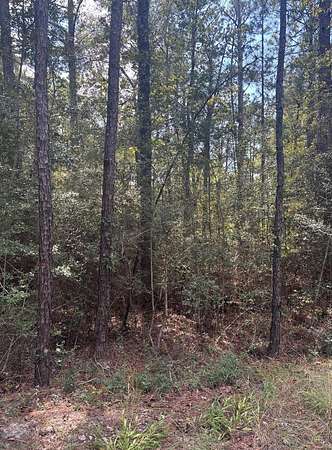 0.26 Acres of Residential Land for Sale in Brookeland, Texas