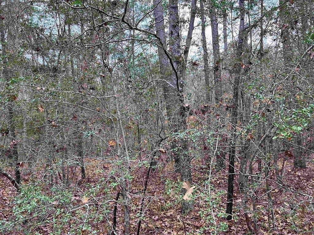 0.24 Acres of Residential Land for Sale in Brookeland, Texas