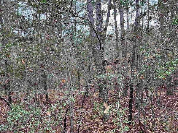 0.24 Acres of Residential Land for Sale in Brookeland, Texas