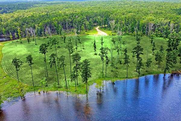 1 Acre of Residential Land for Sale in Burkeville, Texas