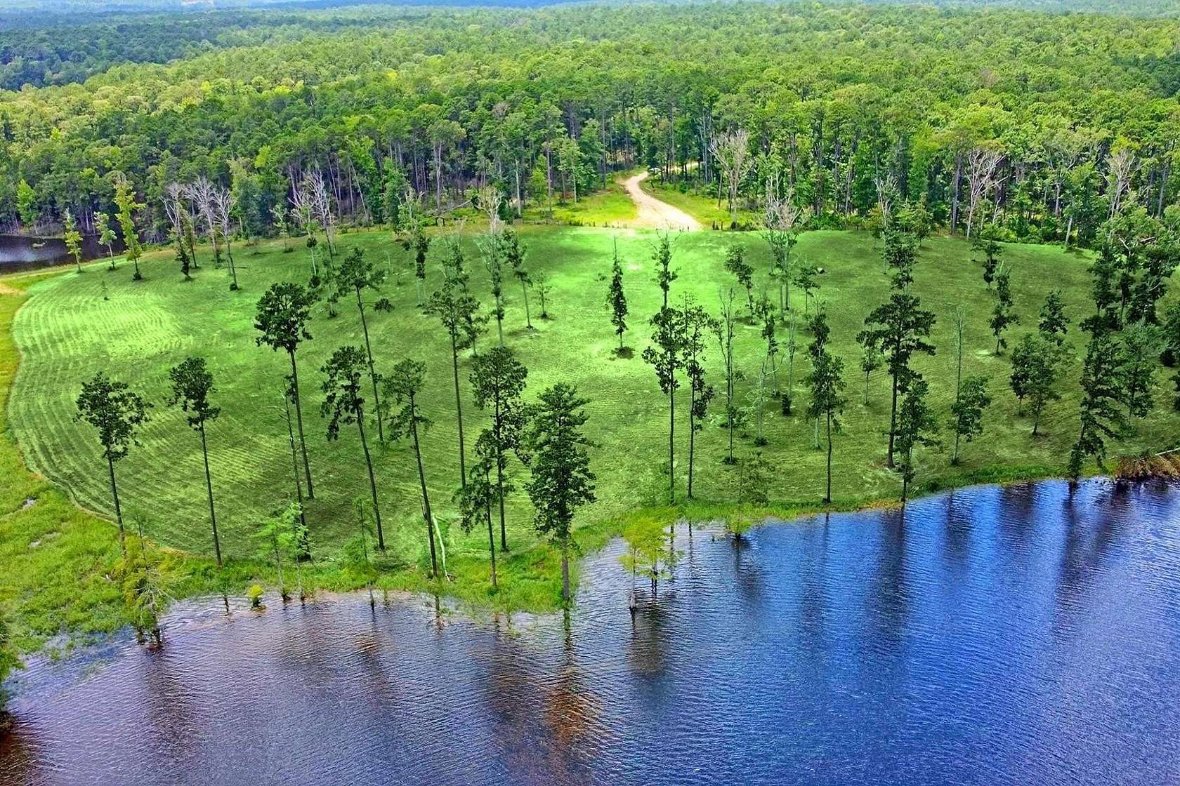 1 Acre of Residential Land for Sale in Burkeville, Texas