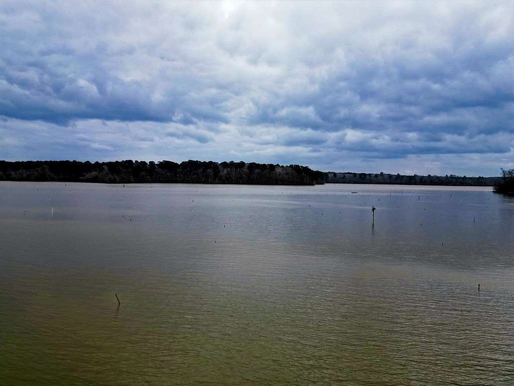 20.4 Acres of Recreational & Residential Land for Sale in Hemphill, Texas