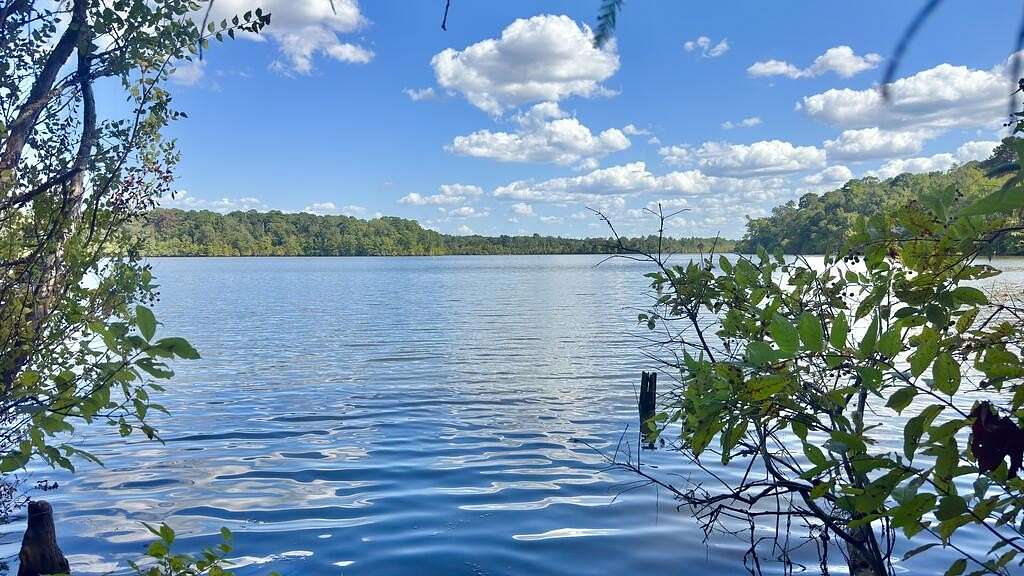 20.4 Acres of Recreational & Residential Land for Sale in Hemphill, Texas