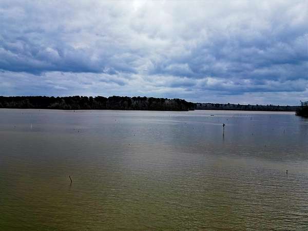 20.4 Acres of Recreational & Residential Land for Sale in Hemphill, Texas
