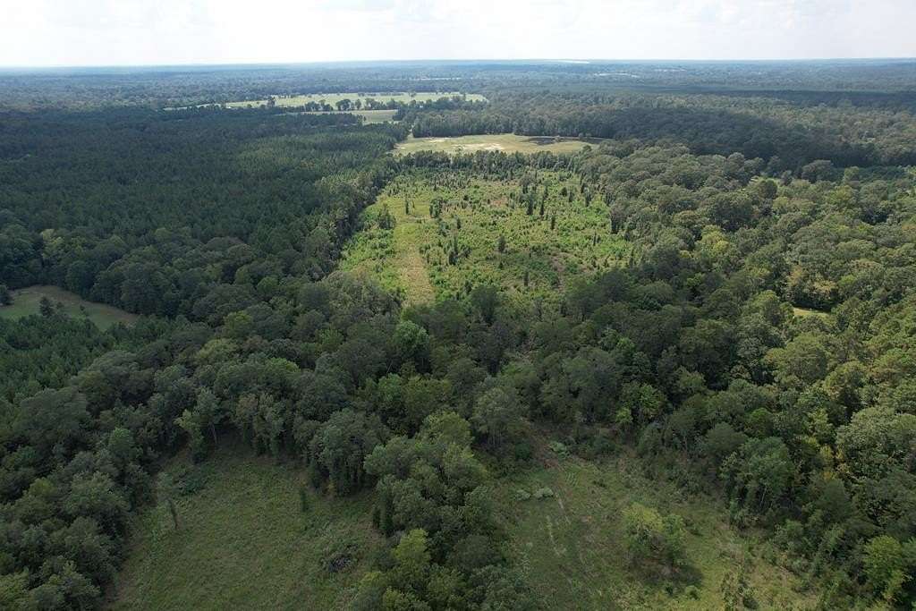 26.1 Acres of Land for Sale in Huntington, Texas