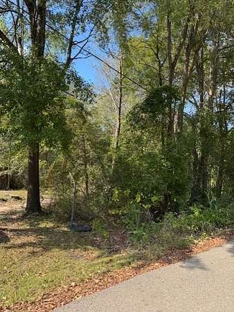 0.29 Acres of Residential Land for Sale in Huntington, Texas