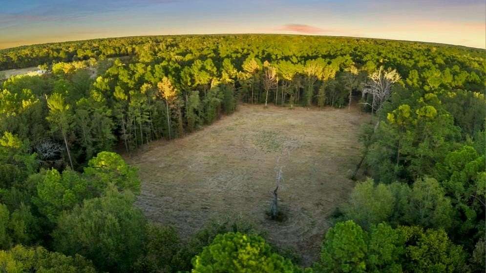 13 Acres of Land for Sale in Huntington, Texas