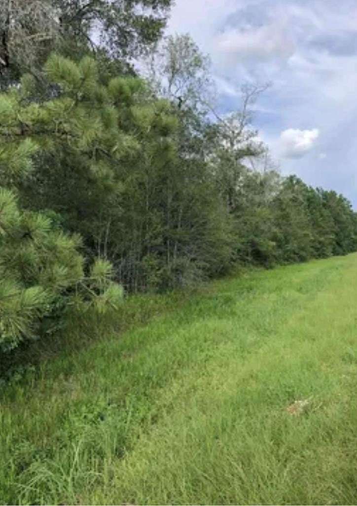 5 Acres of Residential Land for Sale in Buna, Texas