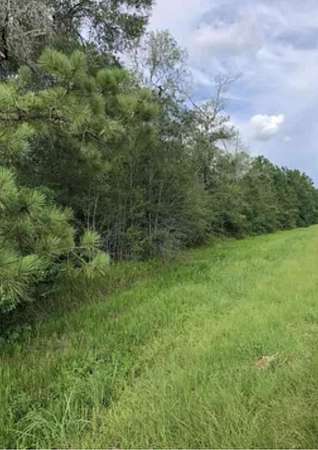 5 Acres of Residential Land for Sale in Buna, Texas