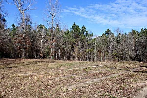 8.9 Acres of Land for Sale in Wiergate, Texas
