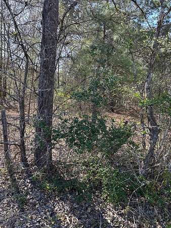 0.75 Acres of Residential Land for Sale in Lufkin, Texas