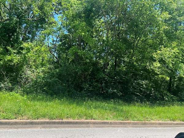 0.17 Acres of Residential Land for Sale in Lufkin, Texas