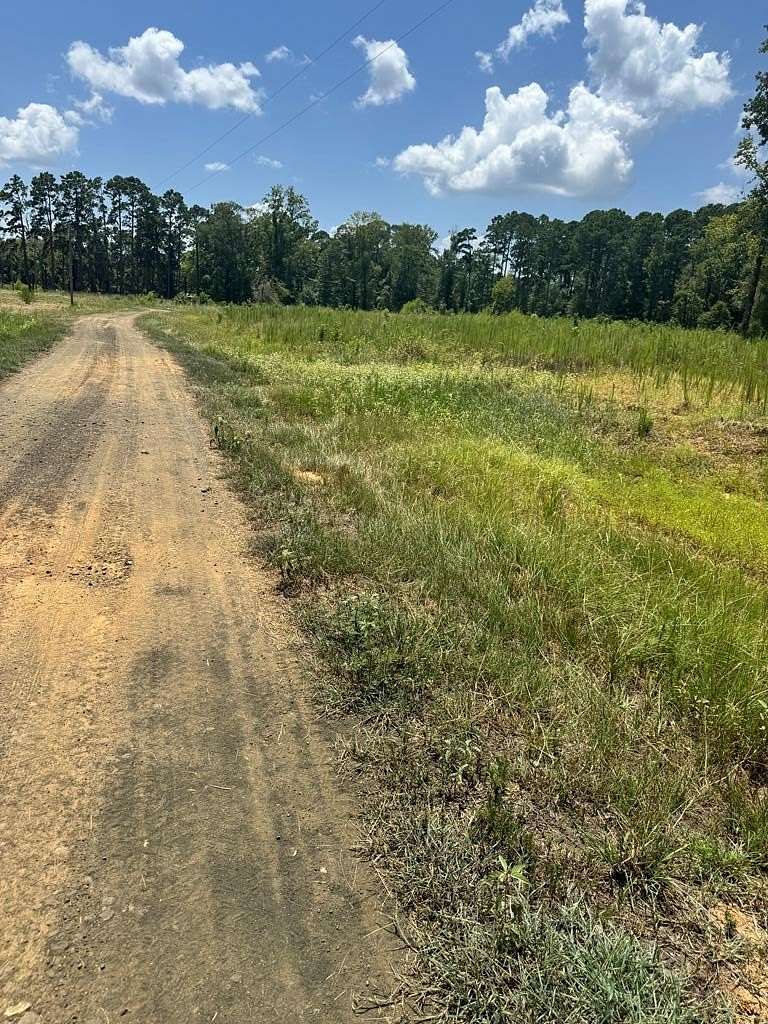 2 Acres of Land for Sale in San Augustine, Texas