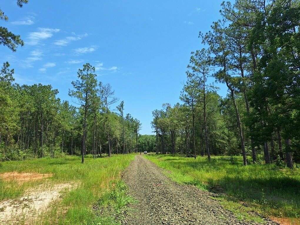 15.9 Acres of Land for Sale in Buna, Texas
