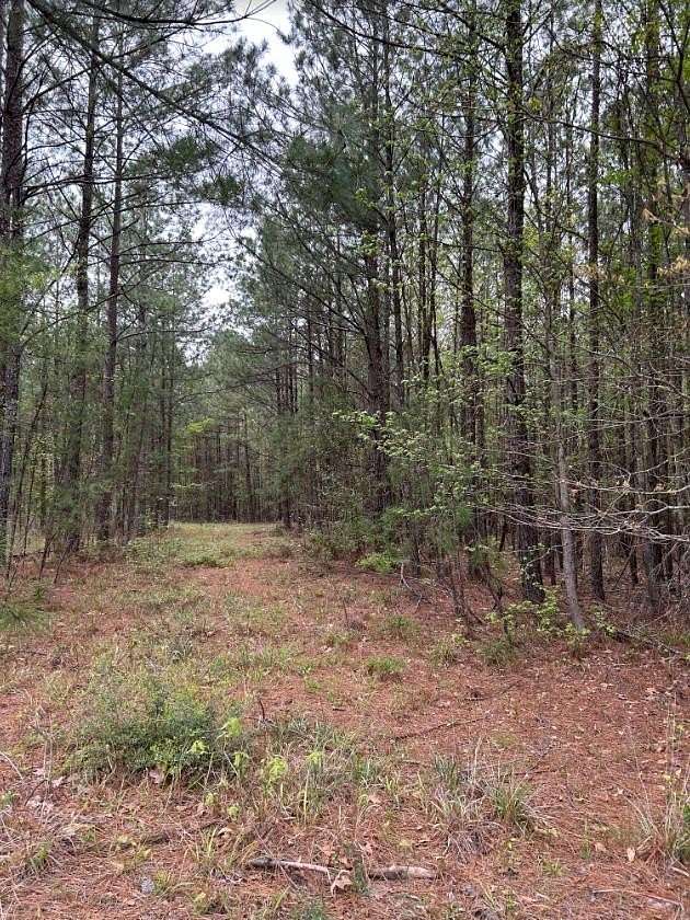 2.58 Acres of Residential Land for Sale in Broaddus, Texas