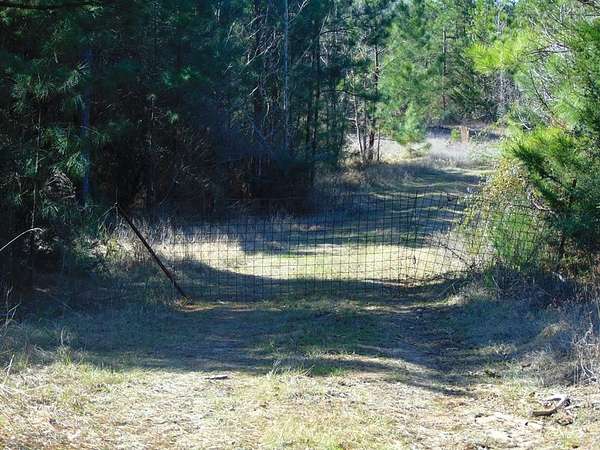 20 Acres of Recreational & Residential Land for Sale in San Augustine, Texas