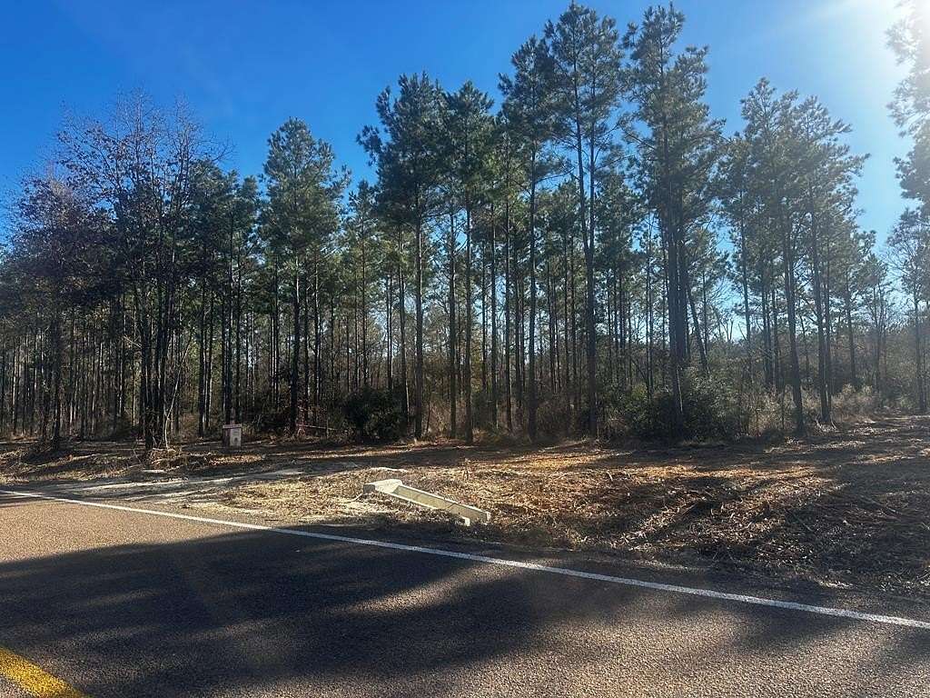 34 Acres of Recreational & Residential Land for Sale in Groveton, Texas