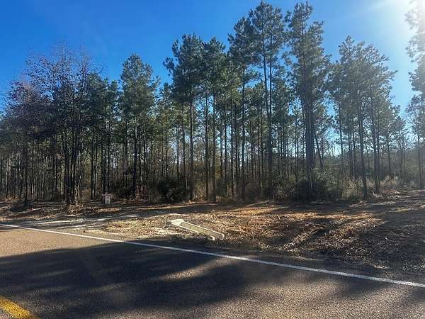 34 Acres of Recreational & Residential Land for Sale in Groveton, Texas