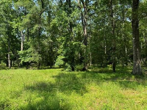 0.52 Acres of Residential Land for Sale in Jasper, Texas