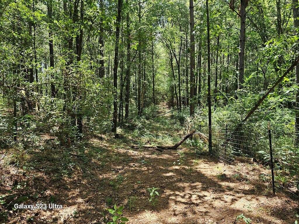 30.3 Acres of Recreational Land for Sale in Timpson, Texas