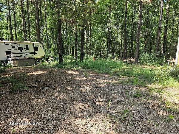 30.3 Acres of Recreational Land for Sale in Timpson, Texas