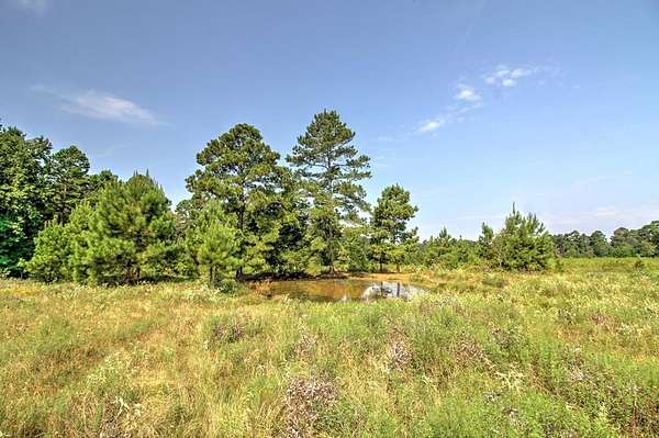 25 Acres of Agricultural & Residential Land for Sale in Alto, Texas