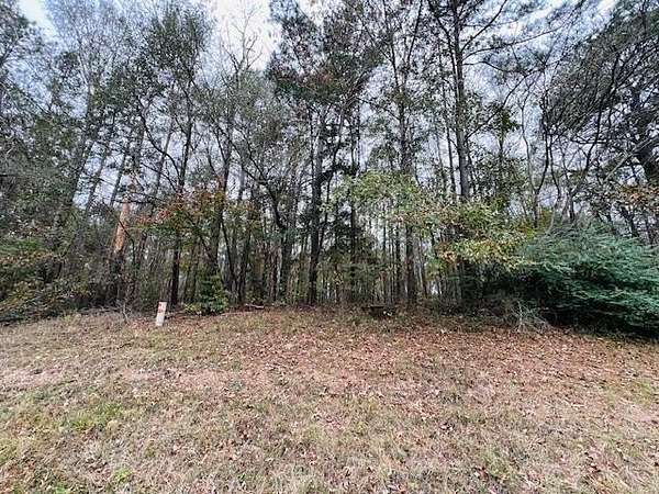 2 Acres of Land for Sale in Pineland, Texas