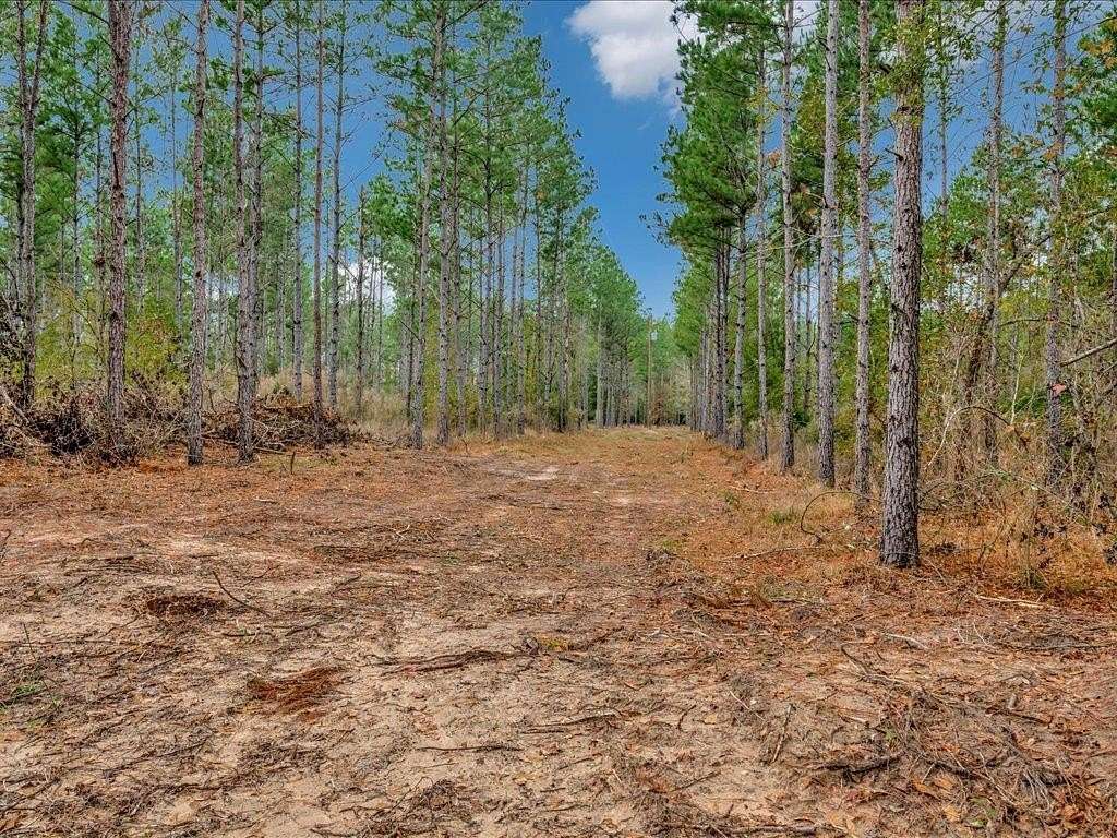 88 Acres of Recreational & Residential Land for Sale in Groveton, Texas