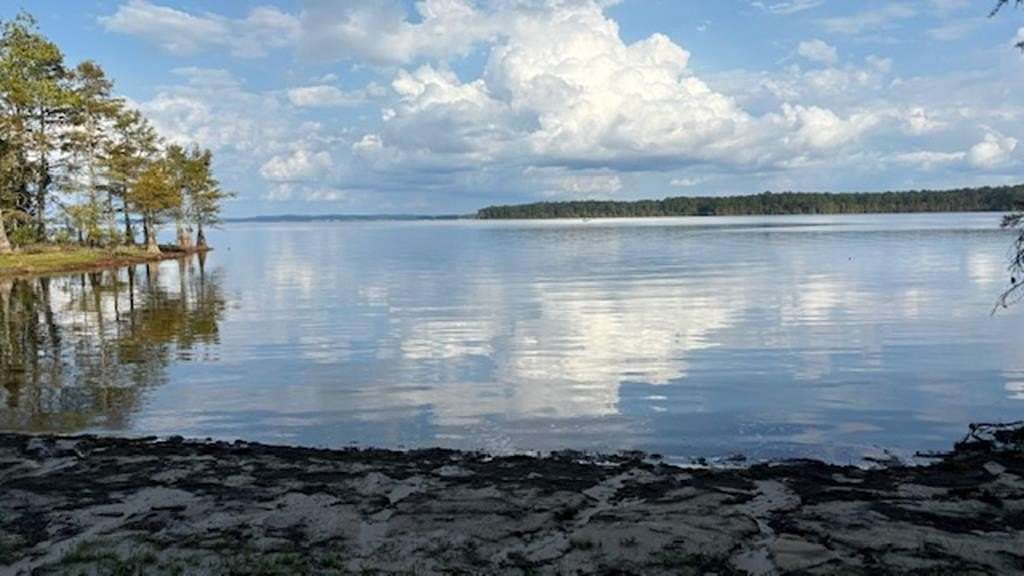 77.5 Acres of Recreational Land for Sale in Hemphill, Texas