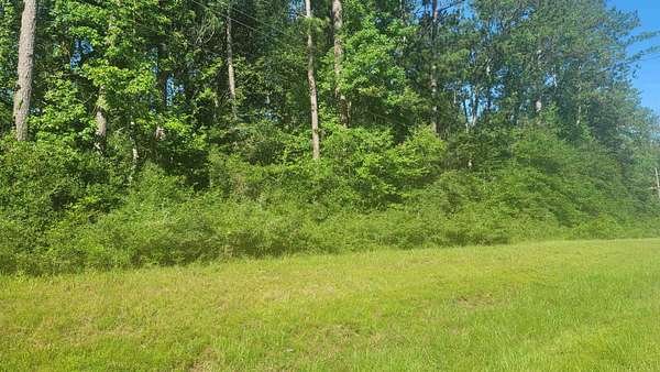 13.3 Acres of Land for Sale in Newton, Texas