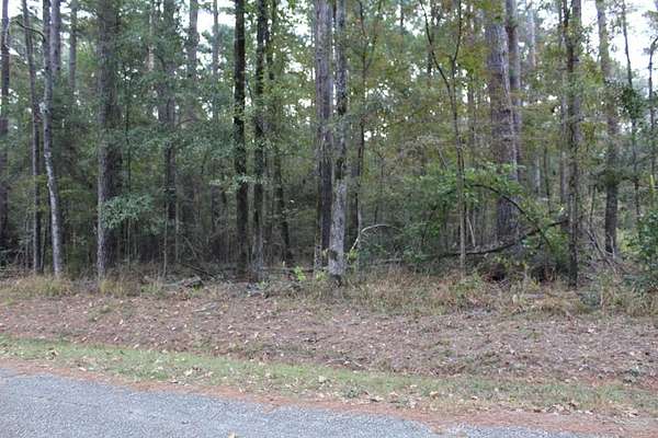 0.27 Acres of Residential Land for Sale in Hemphill, Texas
