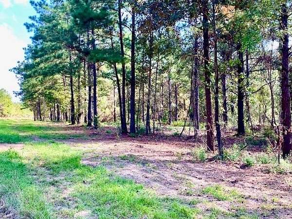 16.7 Acres of Land for Sale in Woodville, Texas