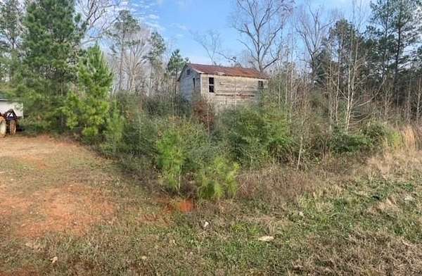 22.8 Acres of Land for Sale in Newton, Texas