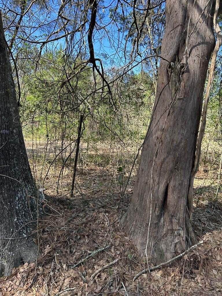 0.75 Acres of Residential Land for Sale in Lufkin, Texas