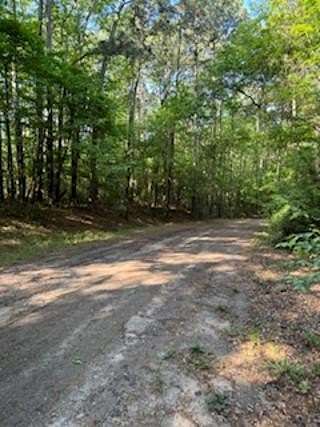 1 Acre of Residential Land for Sale in Hemphill, Texas