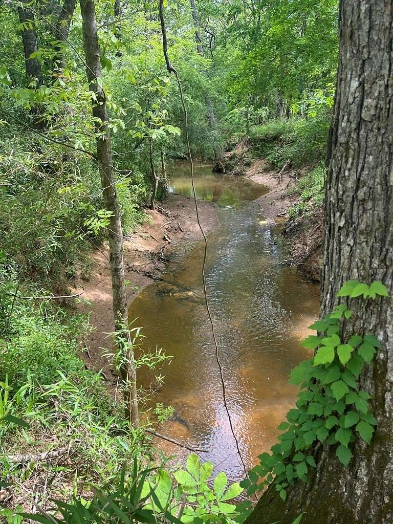 121 Acres of Recreational Land for Sale in San Augustine, Texas