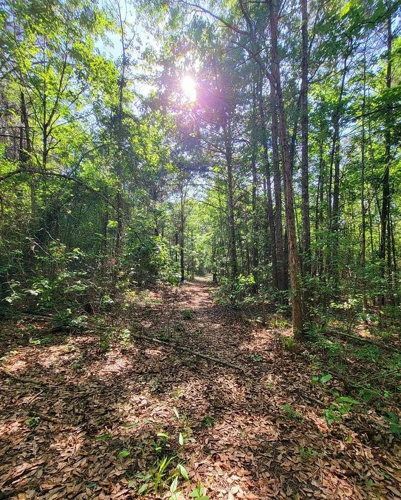 10.9 Acres of Land for Sale in Douglass, Texas