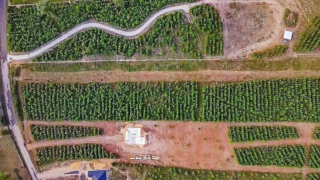 5 Acres of Residential Land for Sale in Diboll, Texas