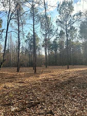 Residential Land for Sale in Joaquin, Texas