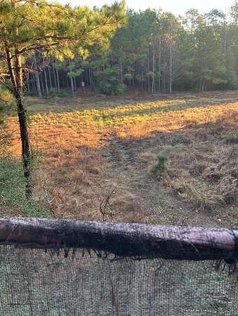 10 Acres of Recreational & Residential Land for Sale in Groveton, Texas