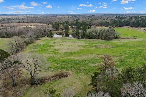 48.2 Acres of Land for Sale in Center, Texas