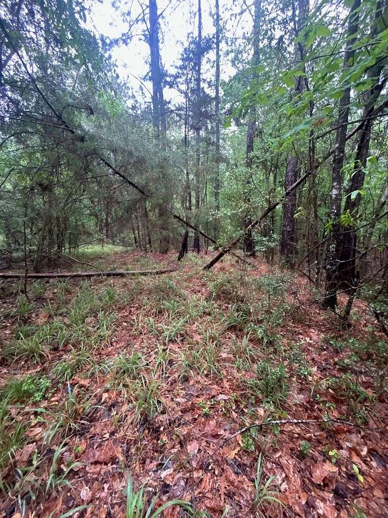 6.4 Acres of Residential Land for Sale in Jasper, Texas